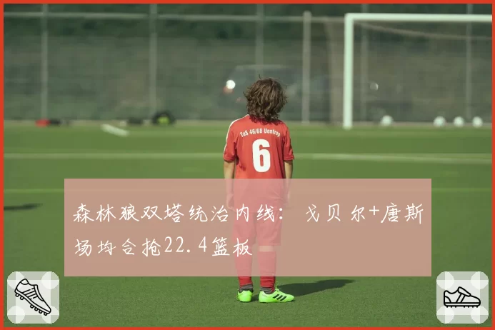 森林狼双塔统治内线：戈贝尔+唐斯场均合抢22.4篮板