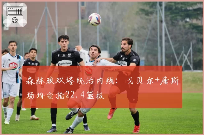 森林狼双塔统治内线：戈贝尔+唐斯场均合抢22.4篮板