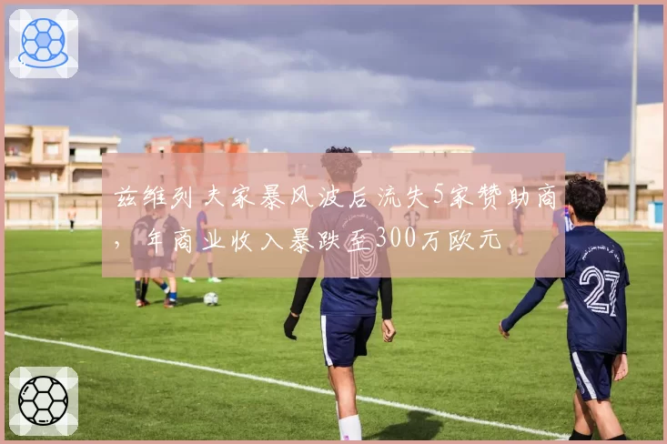 兹维列夫家暴风波后流失5家赞助商,年商业收入暴跌至300万欧元