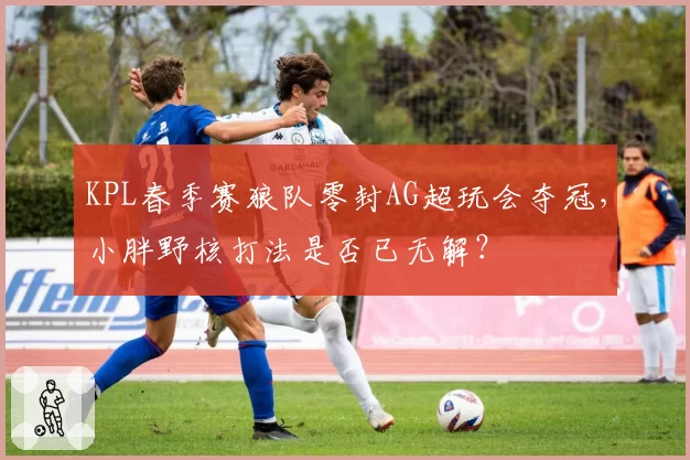 KPL春季赛狼队零封AG超玩会夺冠，小胖野核打法是否已无解？